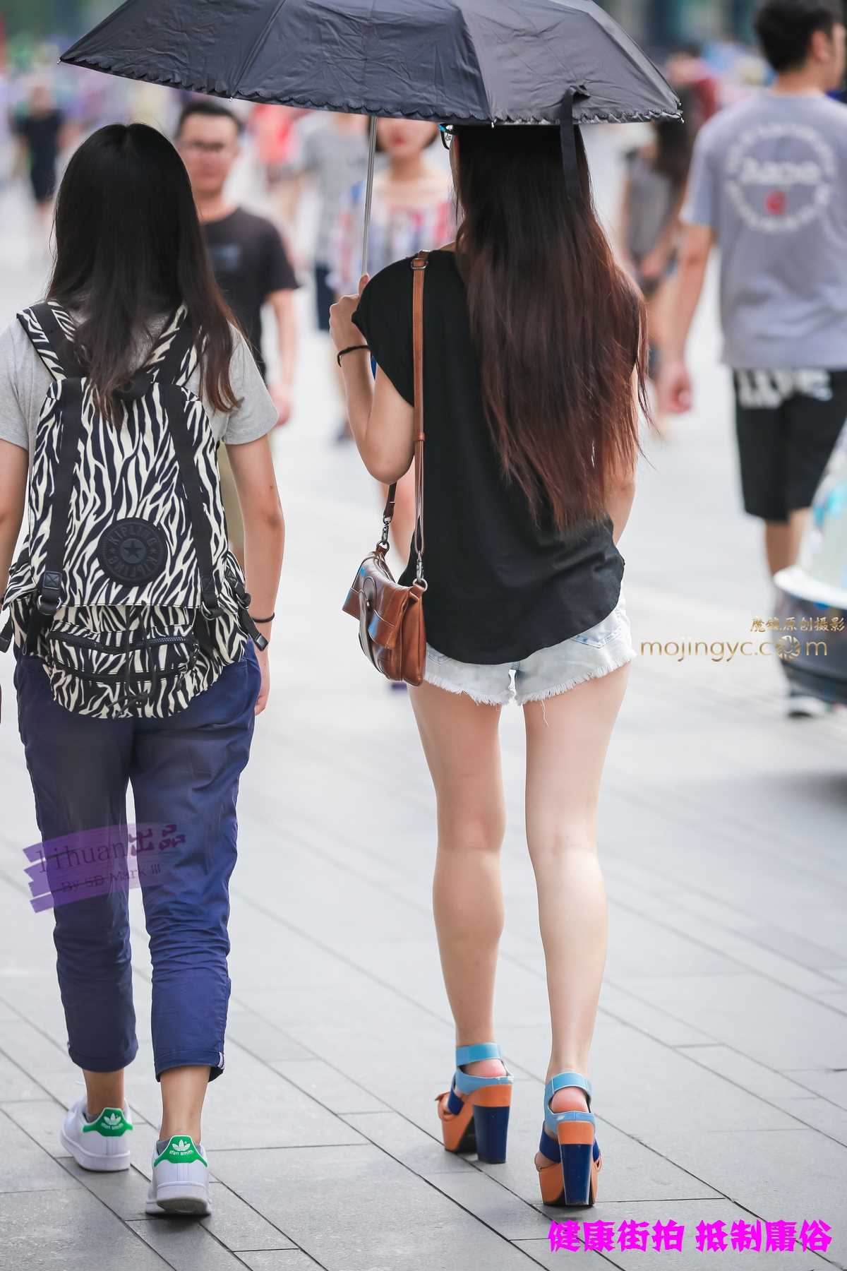 10787-jgwe5t4hwtt.jpg