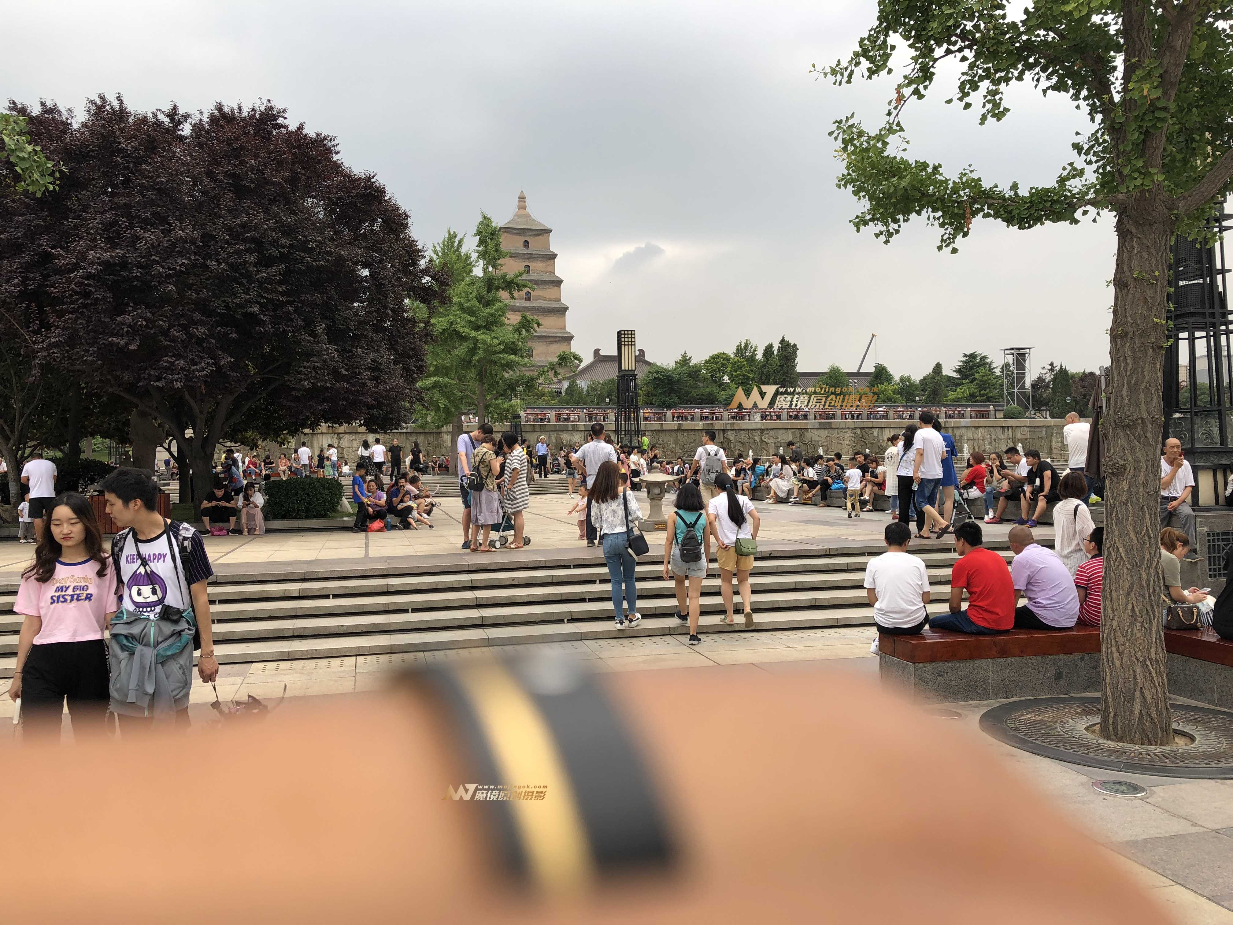 24253-jmzdgwyn5ph.jpg