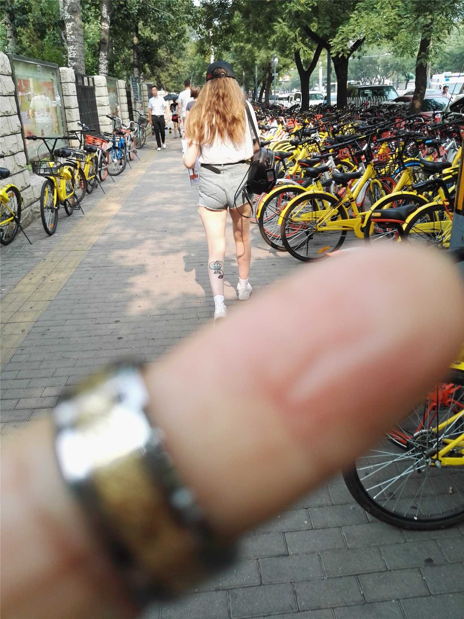 17072-xx2uu1l34om.jpg