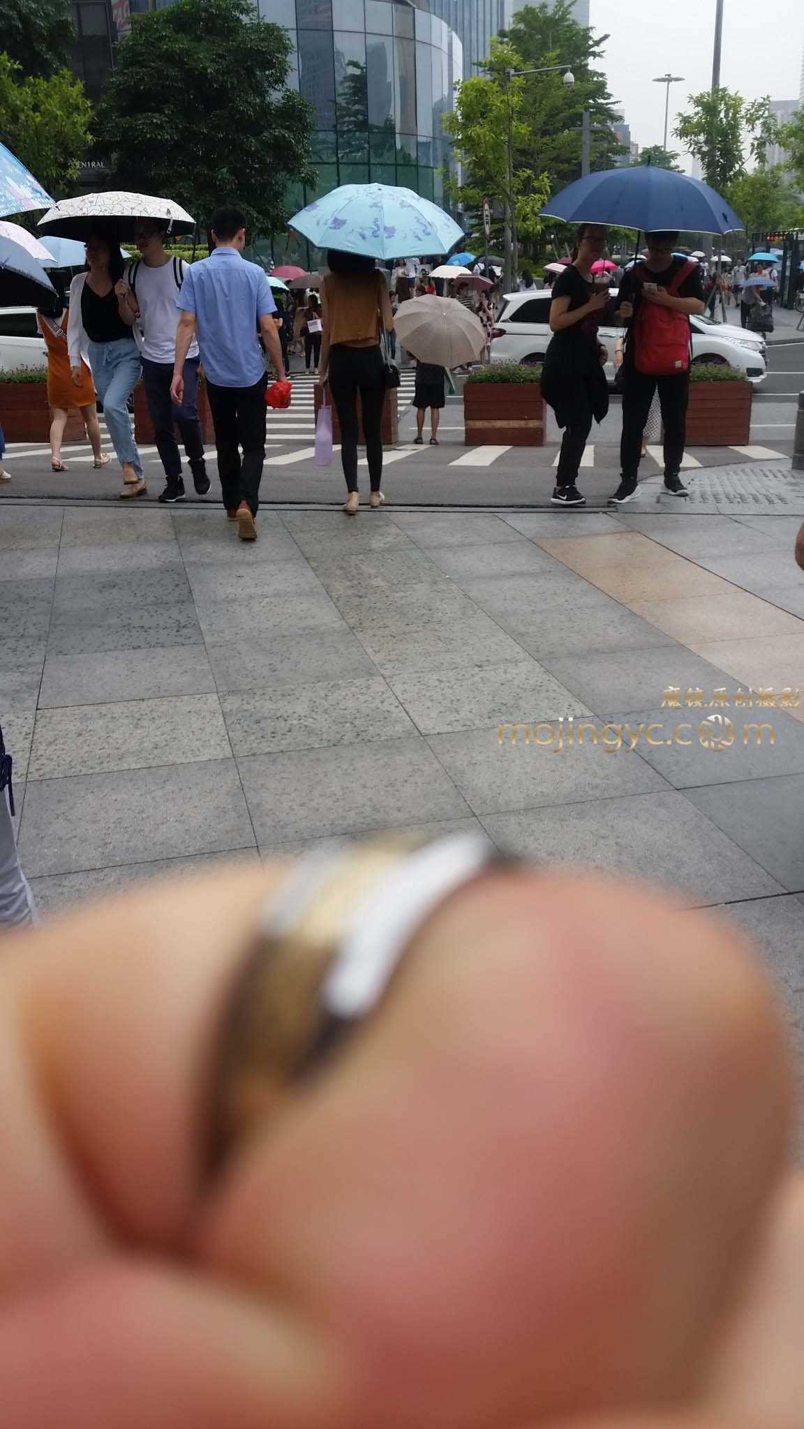 16213-y1tck1bfrdr.jpg