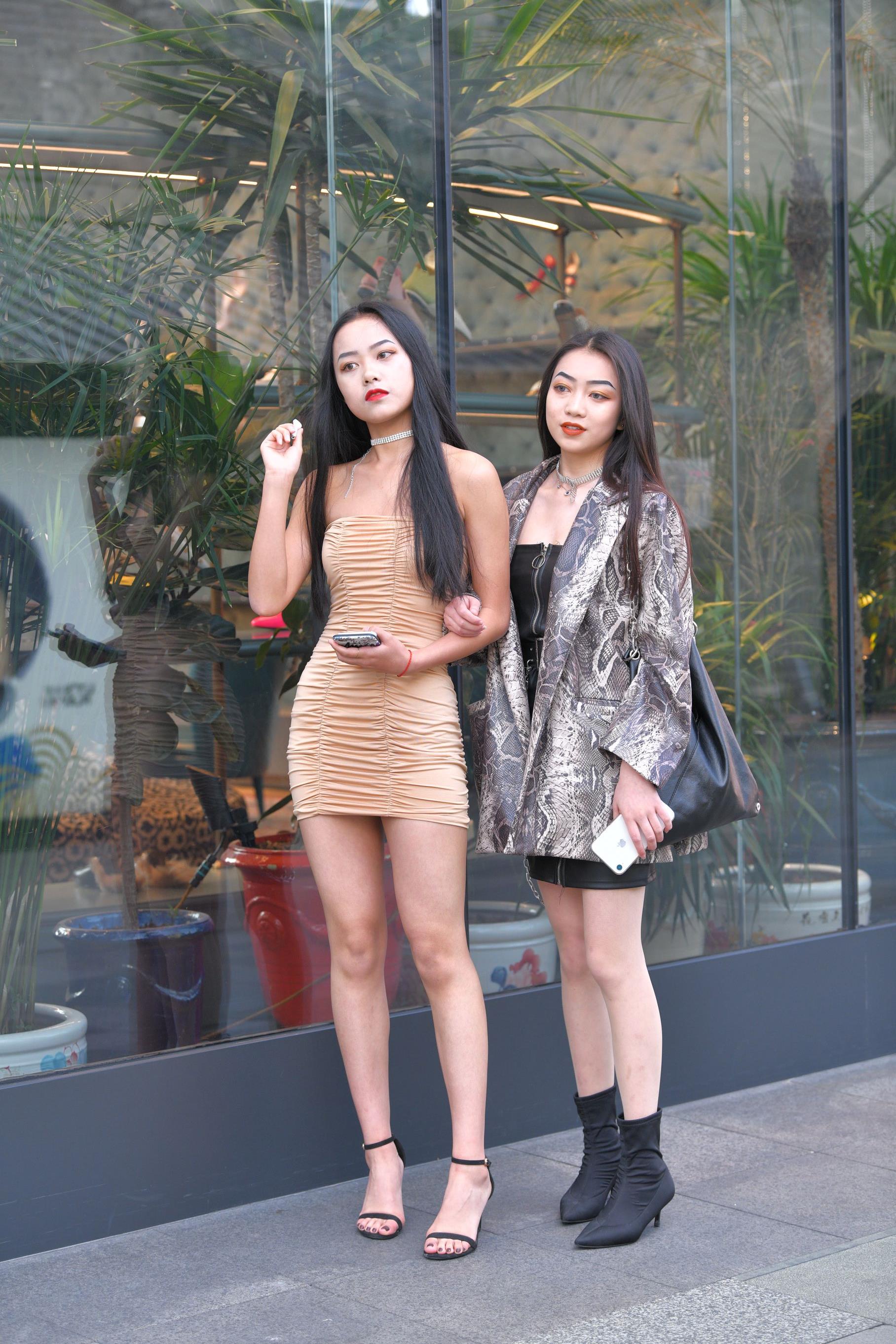33665-gjxz1fsam0c.jpg