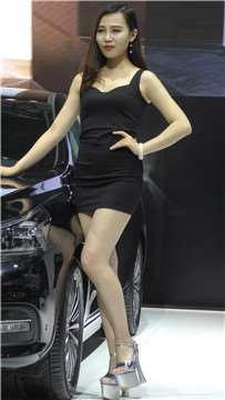 12351rglrsplcinp.jpg
