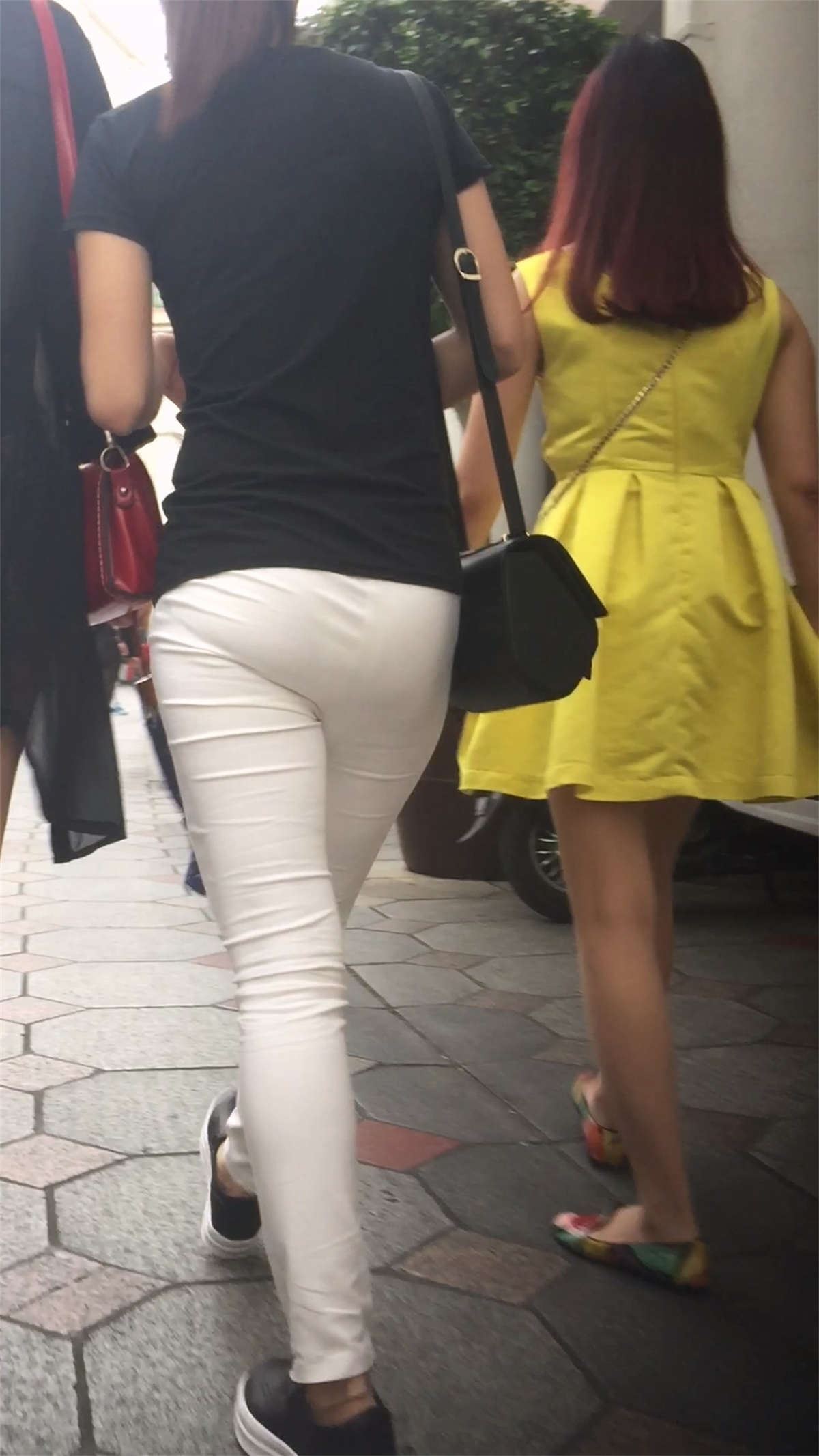 87492-pcxxavutsjt.jpg