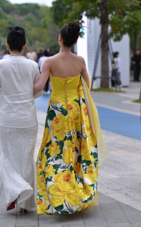 黄花裹胸长裙美女