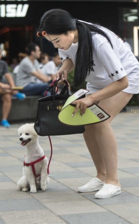 美女与狗狗 [10P]