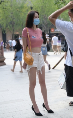 丰满可爱的小猫咪