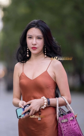 傍晚逛街的气质少妇 [22P]