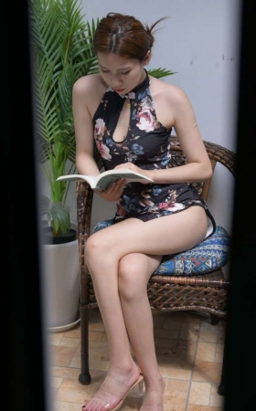 J6044 一只麋鹿摄影作品  一米阳光 [841P2V-37.2GB]