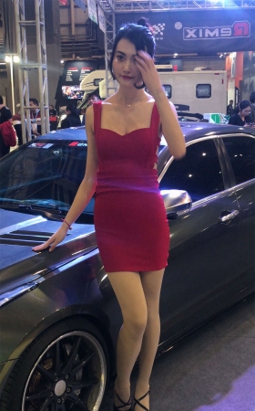 两位端庄的美女车模