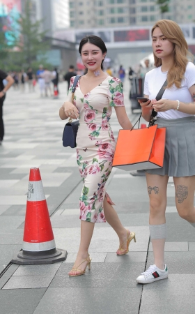 古典美 [15P]
