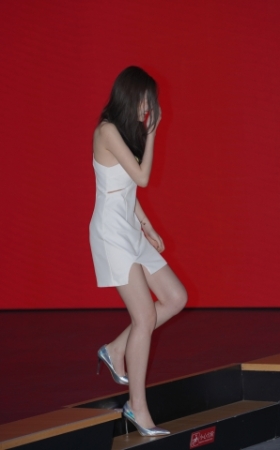 靓丽车模
