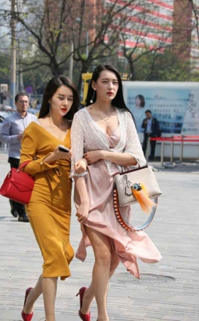高级气质丝质裙 [106P-785MB]