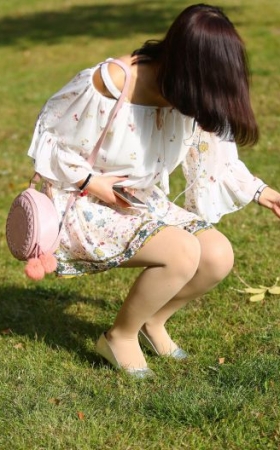 蒲公英第二季
