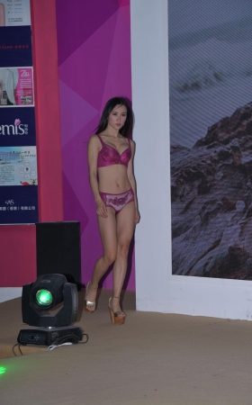 漂亮的内衣模特美女