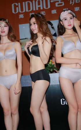 深圳内衣展 无痕内衣展展示 [23P]
