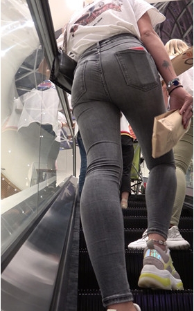 灰色紧牛