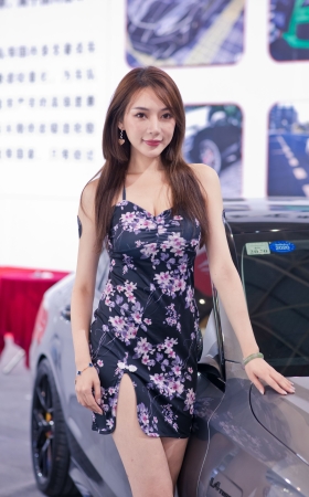 花裙车模美女