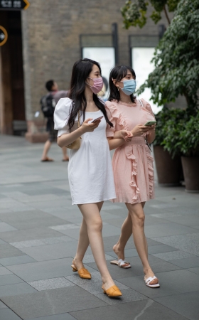 恬静温柔