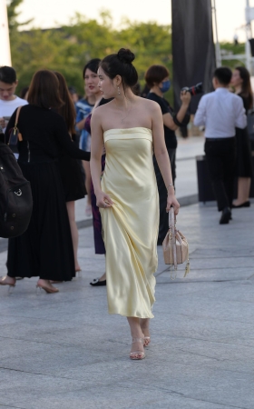 靓丽韵味的荏萋