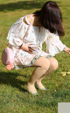 蒲公英第二季3A2191[20M]