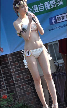 宝岛第九届小姐大赛