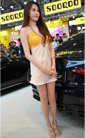 性感的肉丝美女模特(82P)