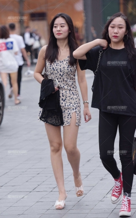斑点 [11P]