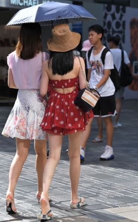 红裙美腿