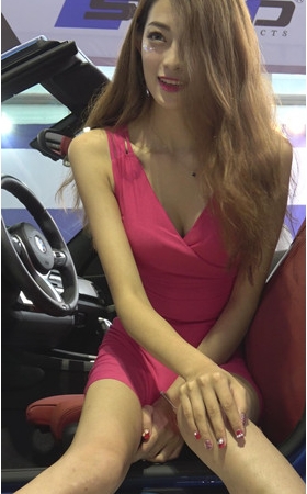 长腿长裙车模美女