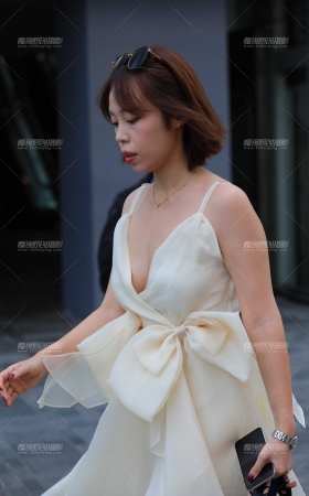 这有点像礼服吧， [14P]