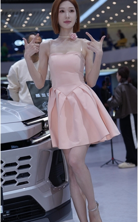 粉裙美模(29P)