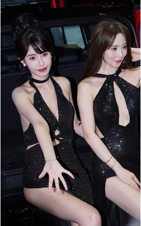 靓丽的长腿车模美女(98P)