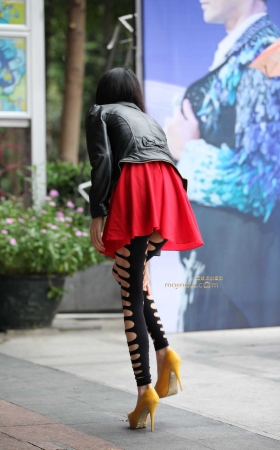 leggings长腿mm[14P] [14P]
