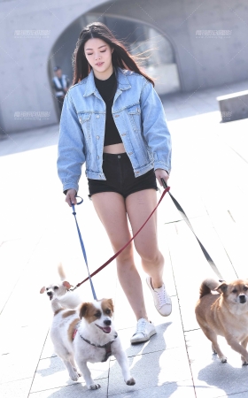 溜狗 [21P]