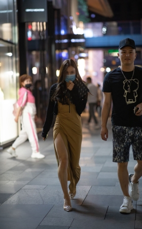 紧身长裙气质美女