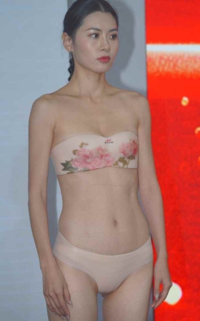 内衣展02 [343P-3.84GB]