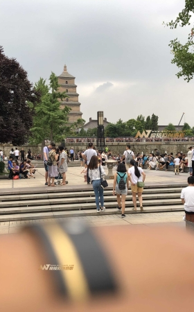 紧身牛仔亦步亦趋 [15P]