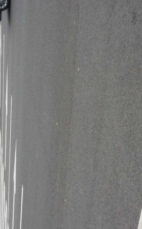 正在等车的短裙洋妞 [12P]