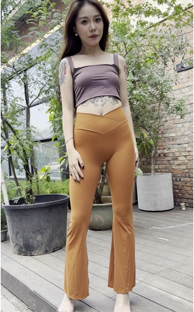 山茶的未寄书
