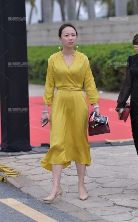 黄裙美少妇 [18P]