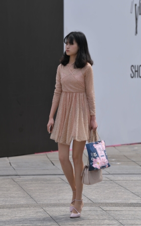 苗条淑女